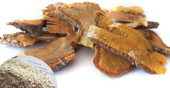 What is polygonum cuspidatum root extract resveratrol.png